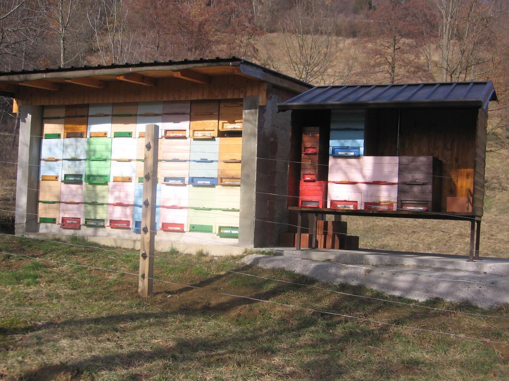 Guest House Roze Ilirska Bistrica Exterior photo
