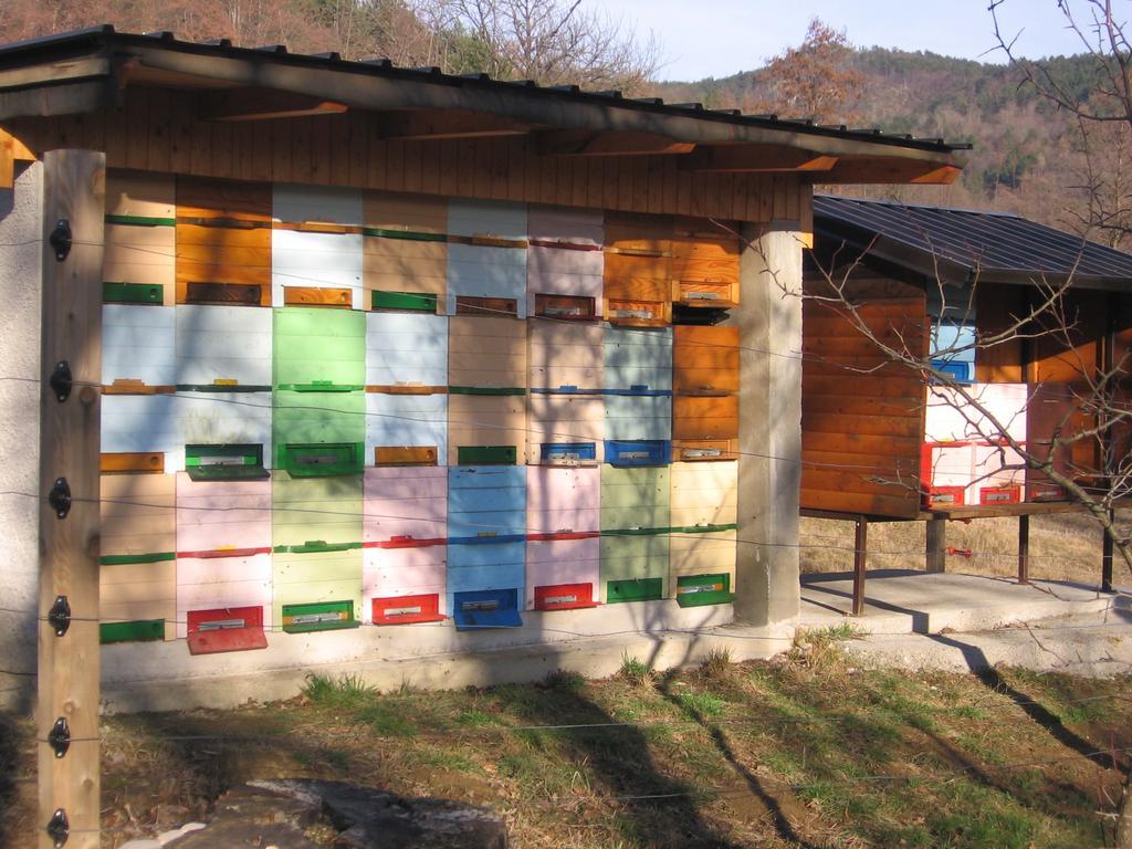 Guest House Roze Ilirska Bistrica Exterior photo