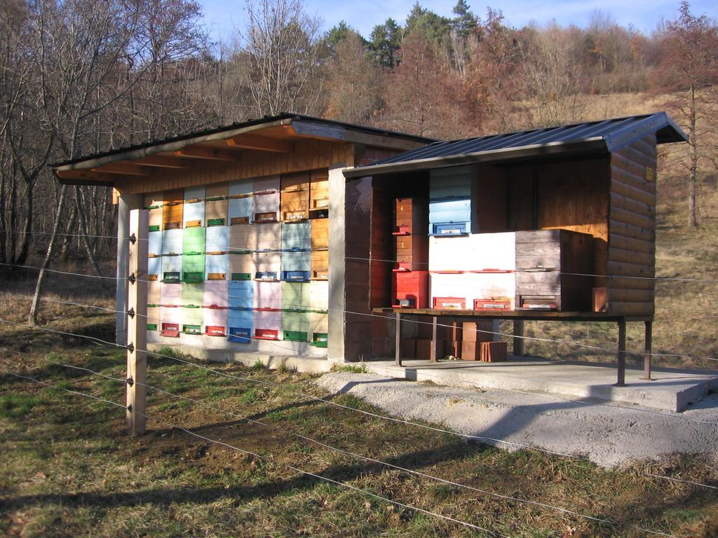Guest House Roze Ilirska Bistrica Exterior photo